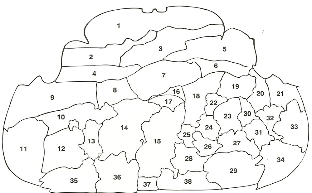 Attacchi di giornata - Schema degli attacchi