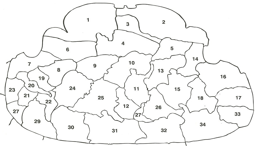 Attacchi di giornata - Schema degli attacchi