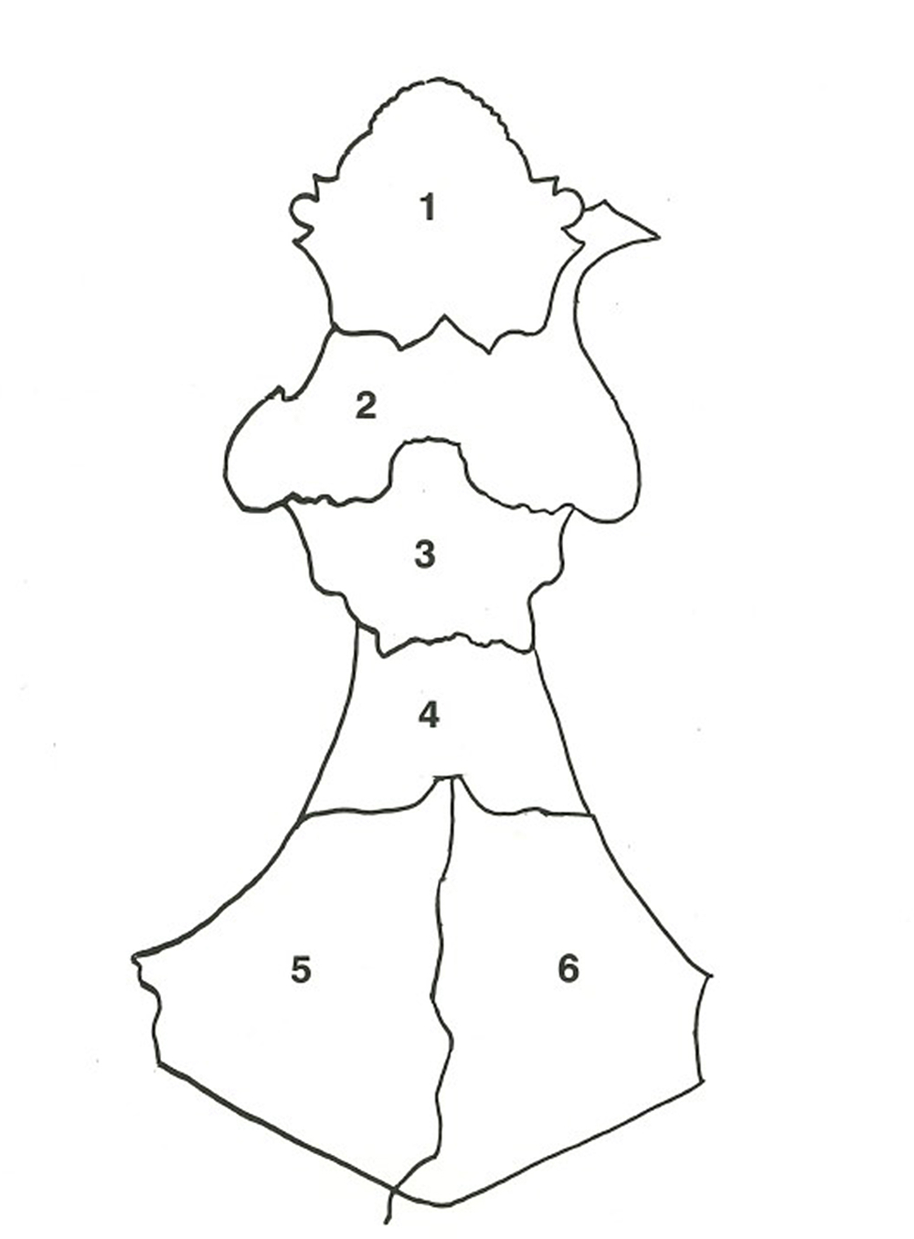 Attacchi di giornata - Schema degli attacchi