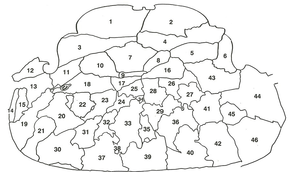 Attacchi di giornata - Schema degli attacchi
